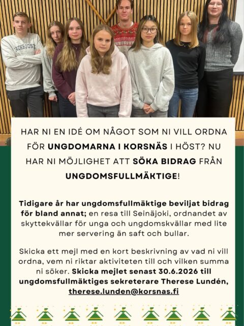 Passa på! Pengar att sökas från ungdomsfullmäktige 🤑