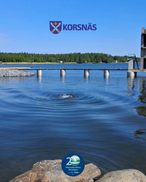 Redan nu kan ni skriva in 8 augusti i kalendern! ☀

Då firas både Kvarkens världsarvs 20-års jubileum och Lantdagen med en stor fest vid Molpe paviljong! Det kommer att bli marknad, festtal, servering och underhållning. 

Vill du delta i marknaden som försäljare eller visa upp din förening? 
Kontakta biblioteket: 063479140, biblioteket@korsnas.fi

--------------------------

Voitte jo nyt merkitä kalenteriin 8. elokuuta! ☀

Silloin juhlitaan sekä Merenkurkun maailmanperinnön 20-vuotisjuhlaa että Lantdagen-päivää suurella juhlalla Moikipään paviljongilla! Ohjelmassa on markkinat, juhlapuheita, tarjoilua ja viihdettä. Lisätietoa tapahtumasta julkaistaan myöhemmin.

Haluatko osallistua myyjänä tai esitellä yhdistystäsi?
Ota yhteyttä kirjastoon: 063479140, biblioteket@korsnas.fi