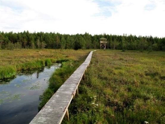 Bild från Hamnträskets vandringsled / Kuva Hamnträskin vaellusreitiltä Bild från Hamnträskets vandringsled / Kuva Hamnträskin vaellusreitiltä