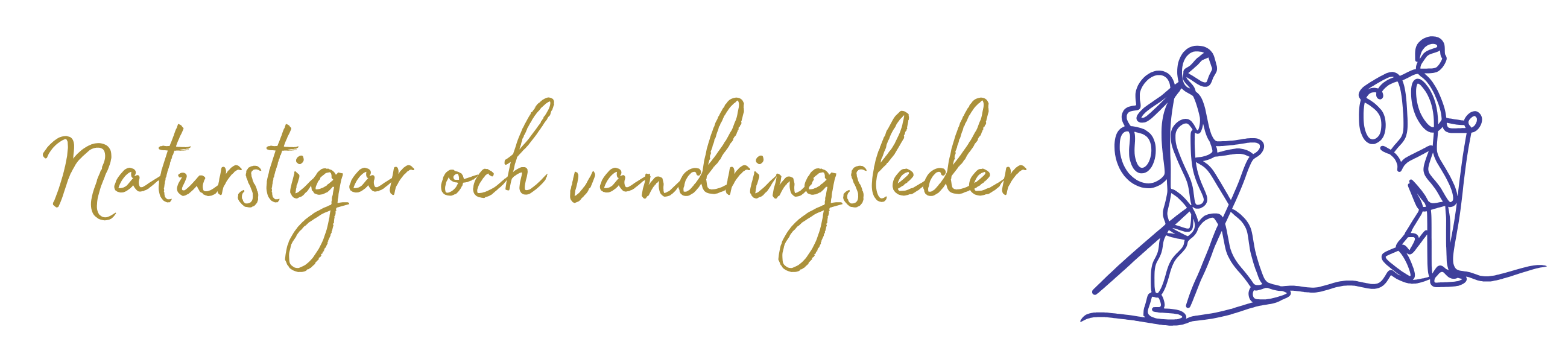 WP header (6)